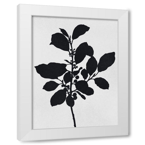 Silhouetted Inverted Growth 2 White Modern Wood Framed Art Print by Prime, Marcus
