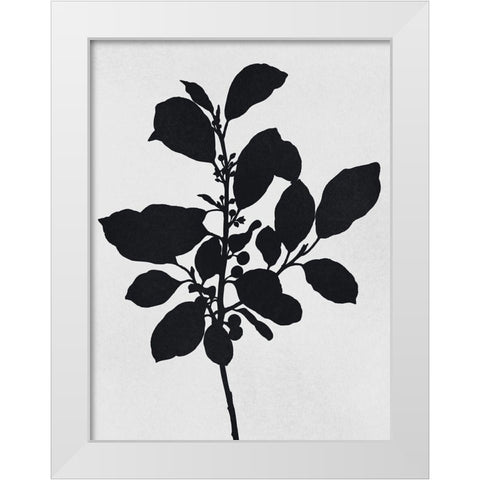Silhouetted Inverted Growth 2 White Modern Wood Framed Art Print by Prime, Marcus