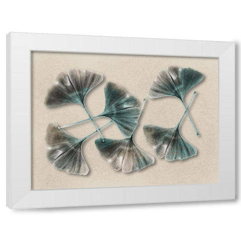 Aged Brass Ginkos 2 White Modern Wood Framed Art Print by Prime, Marcus