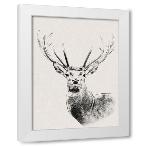 Wilderness Stare White Modern Wood Framed Art Print by Prime, Marcus