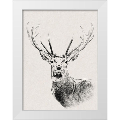 Wilderness Stare White Modern Wood Framed Art Print by Prime, Marcus