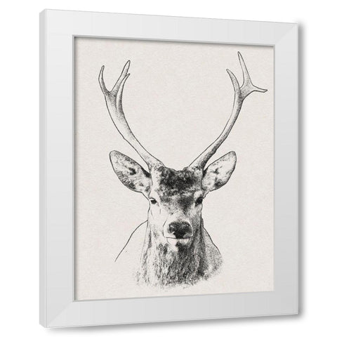 Wilderness Stare 2 White Modern Wood Framed Art Print by Prime, Marcus