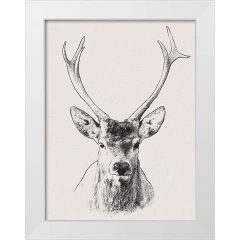 Wilderness Stare 2 White Modern Wood Framed Art Print by Prime, Marcus