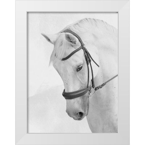 Praying Steed White Modern Wood Framed Art Print by Prime, Marcus