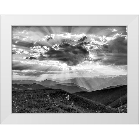 Skys The Limit White Modern Wood Framed Art Print by Prime, Marcus