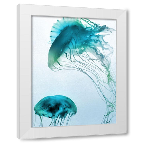Jelly Fish Friends White Modern Wood Framed Art Print by Prime, Marcus