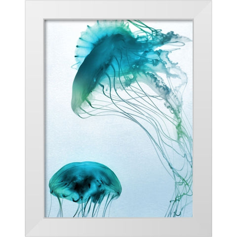 Jelly Fish Friends White Modern Wood Framed Art Print by Prime, Marcus