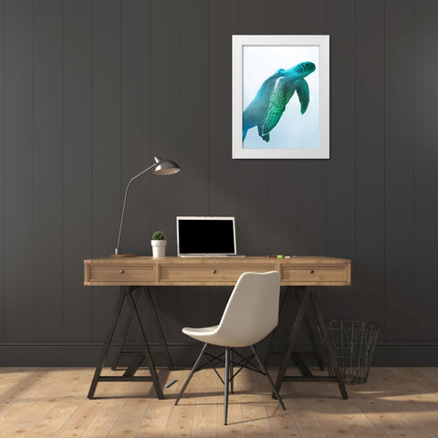 Floating Turtle White Modern Wood Framed Art Print by Prime, Marcus