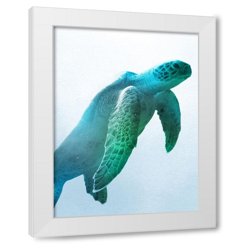Floating Turtle White Modern Wood Framed Art Print by Prime, Marcus