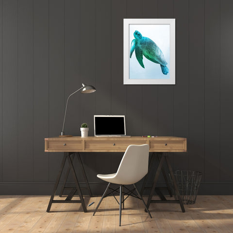 Floating Turtle 2 White Modern Wood Framed Art Print by Prime, Marcus