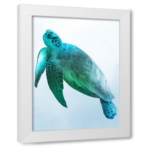 Floating Turtle 2 White Modern Wood Framed Art Print by Prime, Marcus