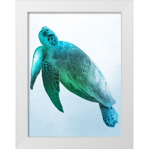 Floating Turtle 2 White Modern Wood Framed Art Print by Prime, Marcus