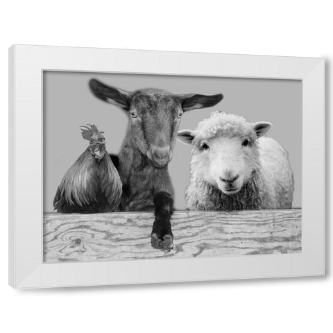 Three Amigos 2 White Modern Wood Framed Art Print by Prime, Marcus