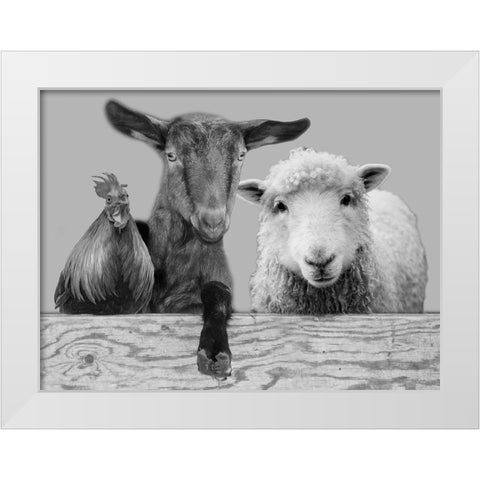 Three Amigos 2 White Modern Wood Framed Art Print by Prime, Marcus