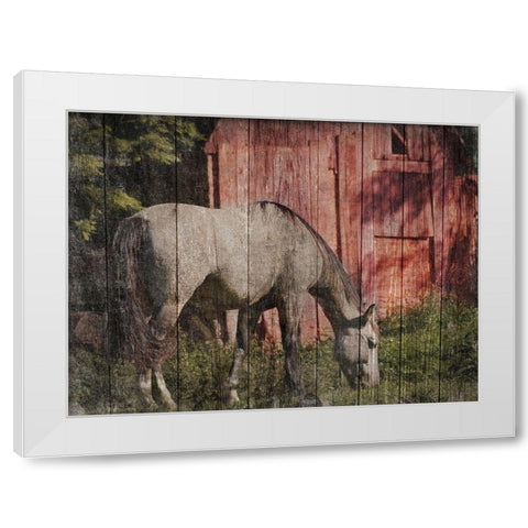 Summer Feeding White Modern Wood Framed Art Print by Prime, Marcus