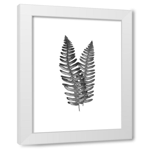Fern Dueling 1 White Modern Wood Framed Art Print by Prime, Marcus