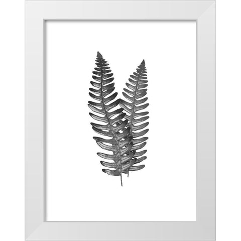 Fern Dueling 1 White Modern Wood Framed Art Print by Prime, Marcus
