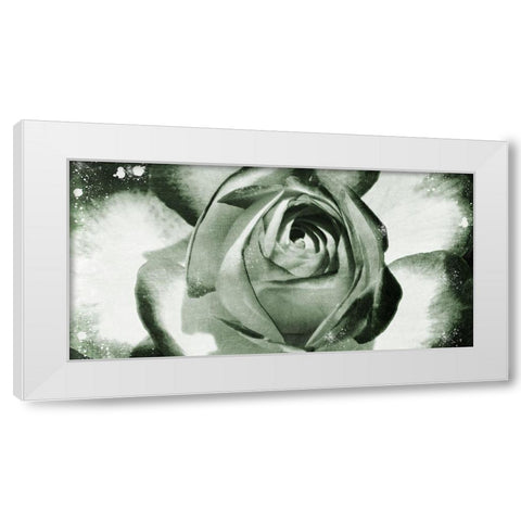 Floral Droplets White Modern Wood Framed Art Print by Prime, Marcus