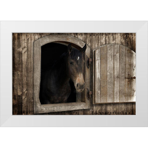 Loving Peek 1 White Modern Wood Framed Art Print by Prime, Marcus