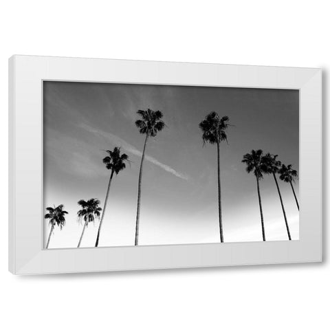Passerby Palms White Modern Wood Framed Art Print by Prime, Marcus