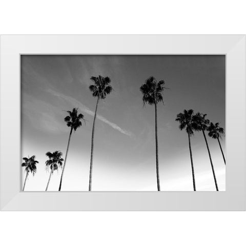 Passerby Palms White Modern Wood Framed Art Print by Prime, Marcus