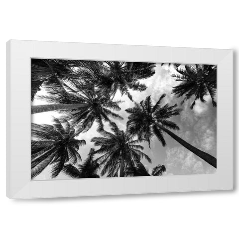 Passerby Palms 2 White Modern Wood Framed Art Print by Prime, Marcus