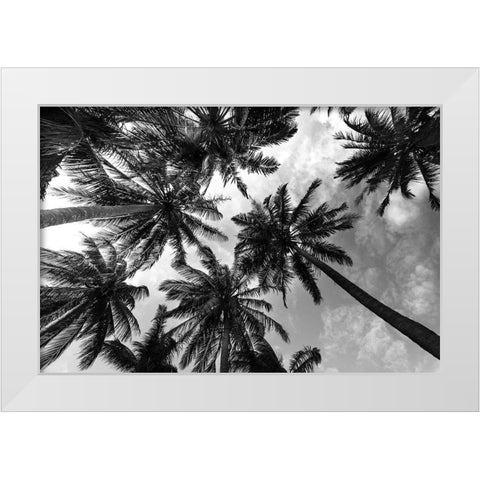Passerby Palms 2 White Modern Wood Framed Art Print by Prime, Marcus