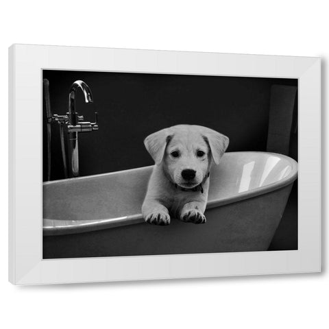 Bathroom Friend 1 White Modern Wood Framed Art Print by Prime, Marcus