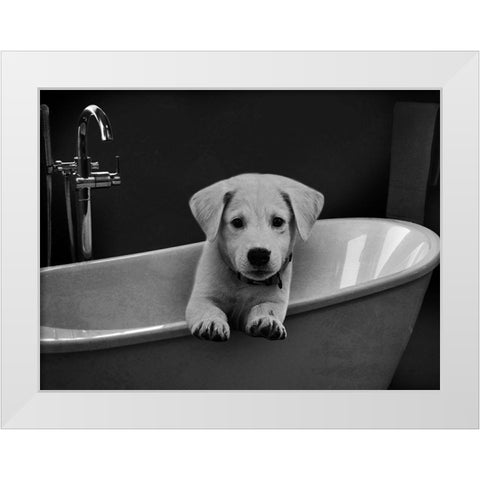Bathroom Friend 1 White Modern Wood Framed Art Print by Prime, Marcus