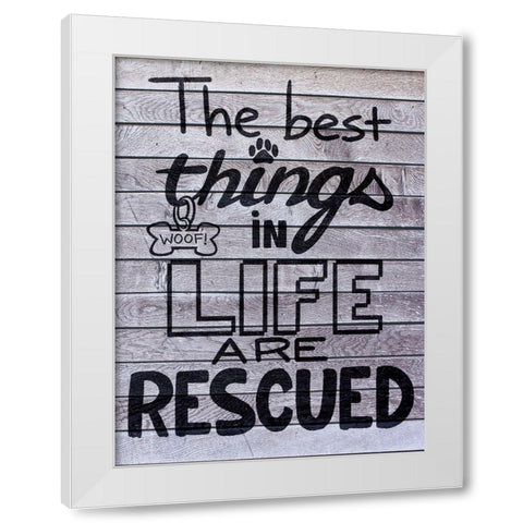 Rescued Love 1 White Modern Wood Framed Art Print by Prime, Marcus