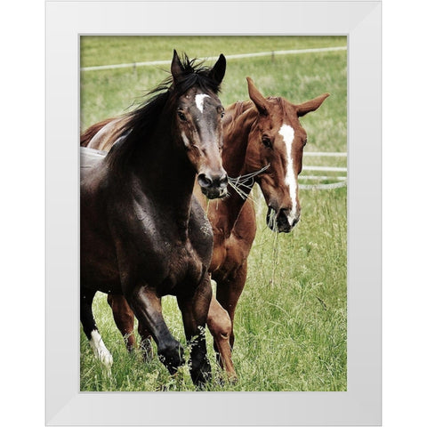 Free Spirits 1 White Modern Wood Framed Art Print by Prime, Marcus