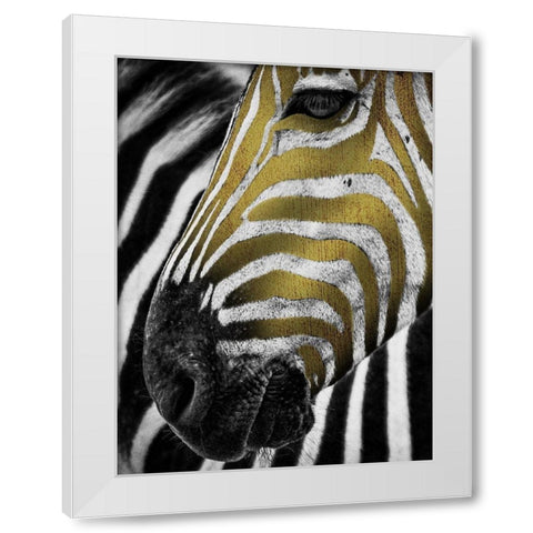 Vibrant Zebra White Modern Wood Framed Art Print by Prime, Marcus