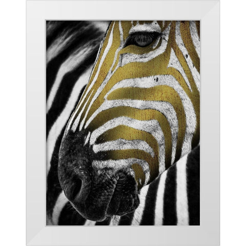 Vibrant Zebra White Modern Wood Framed Art Print by Prime, Marcus