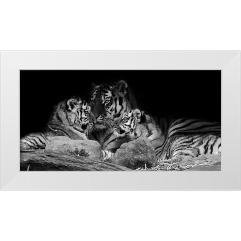 Strong Family 1 White Modern Wood Framed Art Print by Prime, Marcus