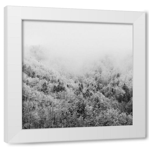 Winter Storm 1 White Modern Wood Framed Art Print by Prime, Marcus
