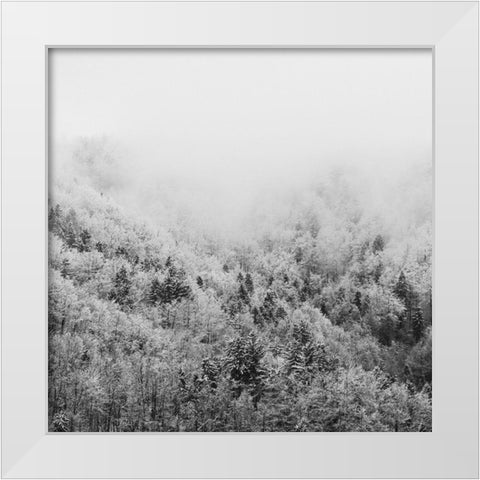 Winter Storm 1 White Modern Wood Framed Art Print by Prime, Marcus