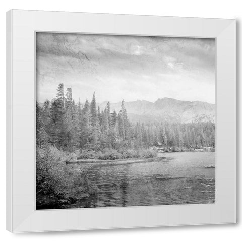Vintage Wonders 1 White Modern Wood Framed Art Print by Prime, Marcus