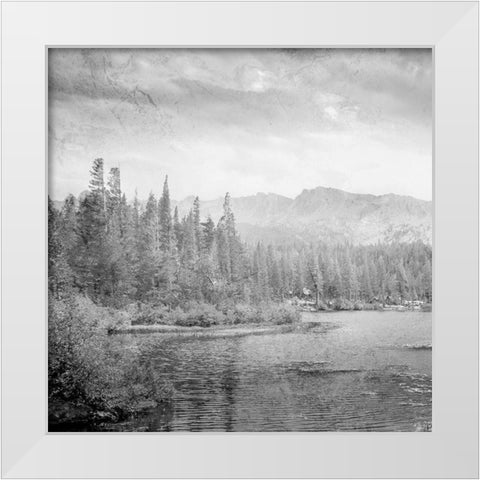 Vintage Wonders 1 White Modern Wood Framed Art Print by Prime, Marcus