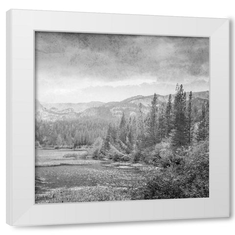 Vintage Wonders 2 White Modern Wood Framed Art Print by Prime, Marcus