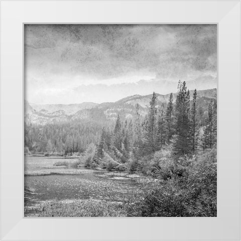 Vintage Wonders 2 White Modern Wood Framed Art Print by Prime, Marcus