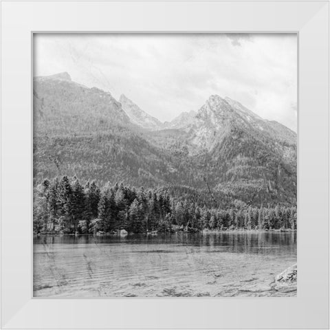 Vintage Wonders 3 White Modern Wood Framed Art Print by Prime, Marcus