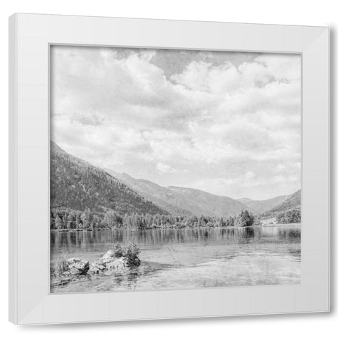 Vintage Wonders 4 White Modern Wood Framed Art Print by Prime, Marcus