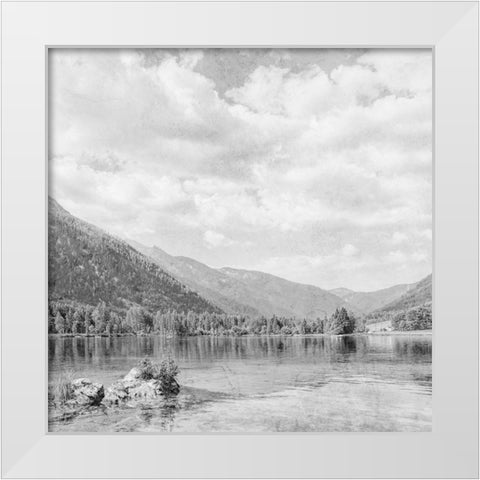 Vintage Wonders 4 White Modern Wood Framed Art Print by Prime, Marcus