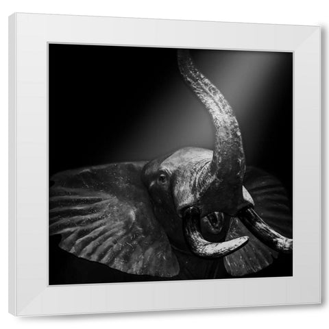 Beaming Safari White Modern Wood Framed Art Print by Prime, Marcus
