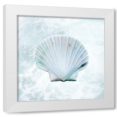 Seaside Infused Shell 1 White Modern Wood Framed Art Print by Prime, Marcus