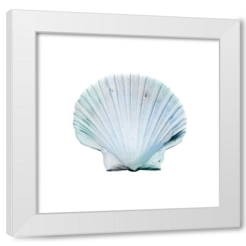 Seaside Shell 1 White Modern Wood Framed Art Print by Prime, Marcus