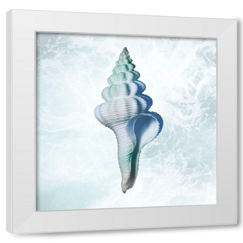 Seaside Infused Shell 2 White Modern Wood Framed Art Print by Prime, Marcus