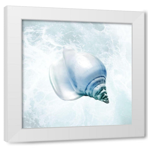 Seaside Infused Shell 3 White Modern Wood Framed Art Print by Prime, Marcus