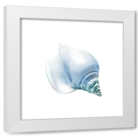 Seaside Shell 3 White Modern Wood Framed Art Print by Prime, Marcus