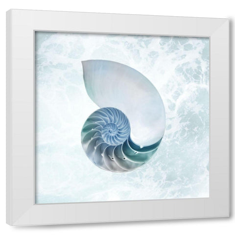Seaside Infused Shell 4 White Modern Wood Framed Art Print by Prime, Marcus